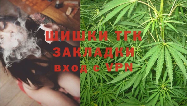 прущие крисы Абаза